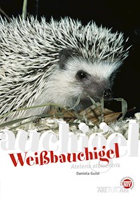 Weißbauchigel - Daniela Guist - E-Book
