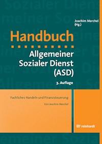 Fachliches Handeln und Finanzsteuerung - Joachim Merchel - E-Book