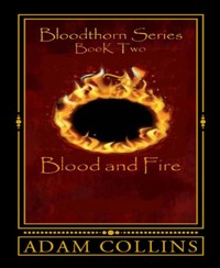 Blood and Fire - Adam Collins - E-Book