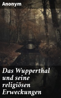 Das Wupperthal und seine religiösen Erweckungen - Anonym - E-Book