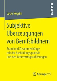 Subjektive Überzeugungen von Berufsbildnern - Lucio Negrini - E-Book