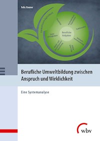 Berufliche Umweltbildung zwischen Anspruch und Wirklichkeit - Felix Rauner - E-Book