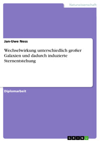 Wechselwirkung unterschiedlich großer Galaxien und dadurch induzierte Sternentstehung - Jan-Uwe Ness - E-Book
