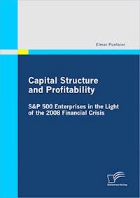 Capital Structure and Profitability: S&P 500 Enterprises in the Light of the 2008 Financial Crisis - Elmar Puntaier - E-Book