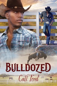 Bulldozed - Catt Ford - E-Book
