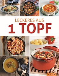 Leckeres aus 1 Topf -  - E-Book