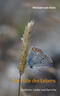 Die Fülle des Lebens - Michael vom Stein - E-Book