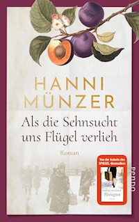 Als die Sehnsucht uns Flügel verlieh - Hanni Münzer - E-Book