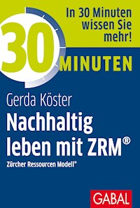 30 Minuten Nachhaltig leben mit ZRM® - Gerda Köster - E-Book