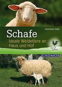 Schafe - Dorothee Dahl - E-Book
