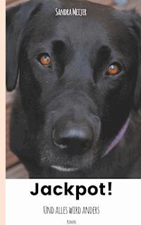 Jackpot! - Sandra Meijer - E-Book
