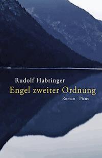 Engel zweiter Ordnung - Rudolf Habringer - E-Book