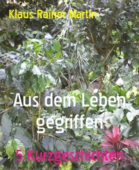 Aus dem Leben gegriffen - Klaus-Rainer Martin - E-Book