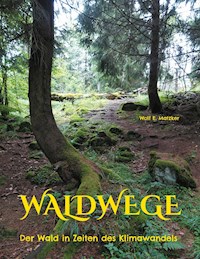 Waldwege - Wolf E. Matzker - E-Book