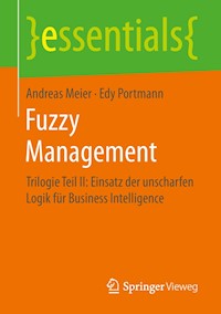 Fuzzy Management - Andreas Meier - E-Book