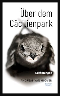 Über dem Cäcilienpark - Andreas van Hooven - E-Book