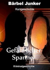 Gefährlicher Spanner - Bärbel Junker - E-Book