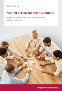 Vielfalt in Unternehmenskulturen - Guido Möllering - E-Book