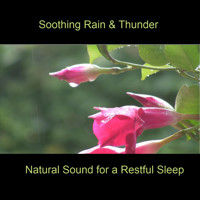 Soothing Rain & Thunder - BMP-Music - Hörbuch