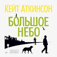 Большое небо - Кейт Аткинсон - Hörbuch