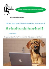 Was hat der Pawlowsche Hund mit Arbeitssicherheit zu tun - Nico Biedermann - E-Book