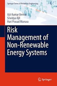 Risk Management of Non-Renewable Energy Systems - Ajit Kumar Verma - E-Book