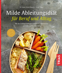 Milde Ableitungsdiät für Beruf und Alltag - Erich Rauch - E-Book