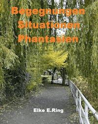 Begegnungen Situationen Phantasien - Elke E. Ring - E-Book