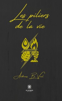 Les piliers de la vie - Andreas B. Veel - E-Book