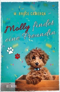 Molly findet eine Freundin - W. Bruce Cameron - E-Book
