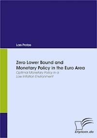 Zero Lower Bound and Monetary Policy in the Euro Area - Lars Protze - E-Book