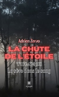 La chute de l’étoile - Tome 3 - Adrien Zervo - E-Book