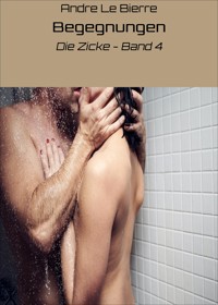 Begegnungen - Andre Le Bierre - E-Book