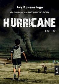 Hurricane - Jay Bonansinga - E-Book