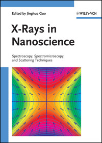 X-Rays in Nanoscience -  - E-Book