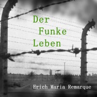Der Funke Leben - Erich Maria Remarque - Hörbuch