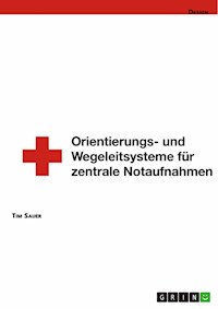 Gestaltung von Orientierungs- und Wegeleitsystemen von zentralen Notaufnahmen - Tim Sauer - E-Book