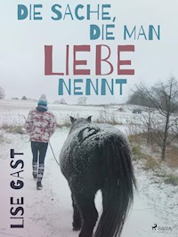 Die Sache, die man Liebe nennt - Lise Gast - E-Book