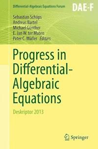 Progress in Differential-Algebraic Equations -  - E-Book