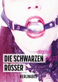 Die schwarzen Rösser - Folge 4 - Jürgen Bruno Greulich - E-Book