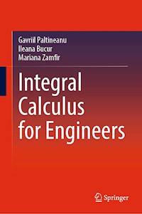 Integral Calculus for Engineers - Gavriil Paltineanu - E-Book