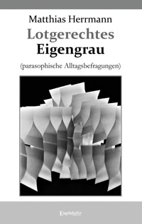 Lotgerechtes Eigengrau - Matthias Herrmann - E-Book