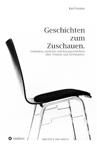 Geschichten zum Zuschauen - Karl Forster - E-Book