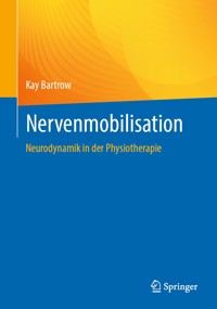 Nervenmobilisation - Kay Bartrow - E-Book