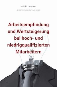 bwlBlitzmerker: Arbeitsempfindung und Wertsteigerung bei hoch- und niedrigqualifiz. Mitarbeitern - Christian Flick - E-Book