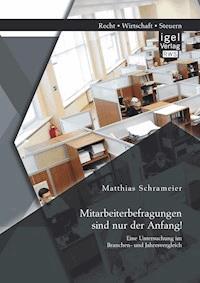 Mitarbeiterbefragungen sind nur der Anfang! Eine Untersuchung im Branchen- und Jahresvergleich - Matthias Schrameier - E-Book