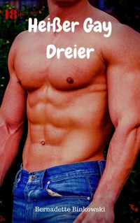 Heißer Gay Dreier - Bernadette Binkowski - E-Book