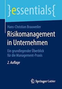 Risikomanagement in Unternehmen - Hans-Christian Brauweiler - E-Book