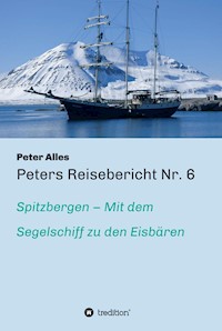 Peters Reisebericht Nr. 6 - Peter Alles - E-Book