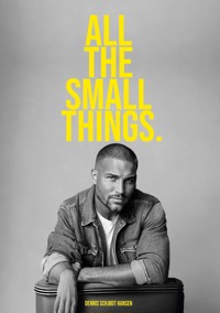 All the Small Things - Dennis Schjødt Hansen - E-Book